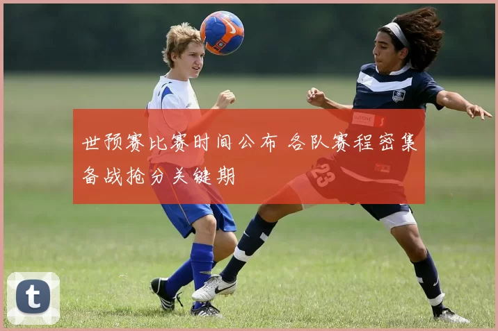 世预赛比赛时间公布 各队赛程密集备战抢分关键期