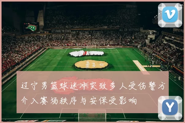 辽宁男篮球迷冲突致多人受伤警方介入赛场秩序与安保受影响