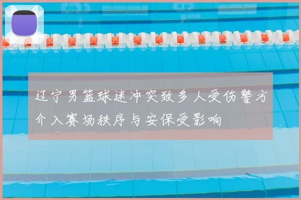 辽宁男篮球迷冲突致多人受伤警方介入赛场秩序与安保受影响