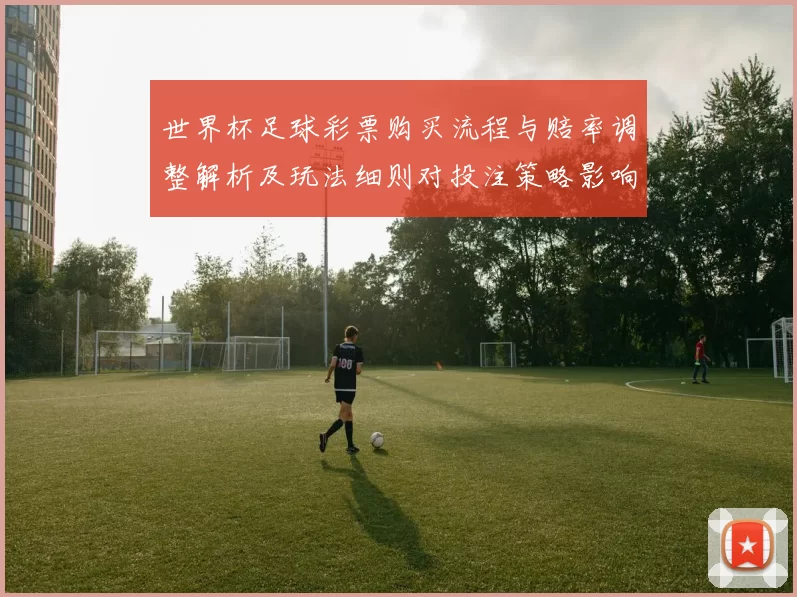 世界杯足球彩票购买流程与赔率调整解析及玩法细则对投注策略影响
