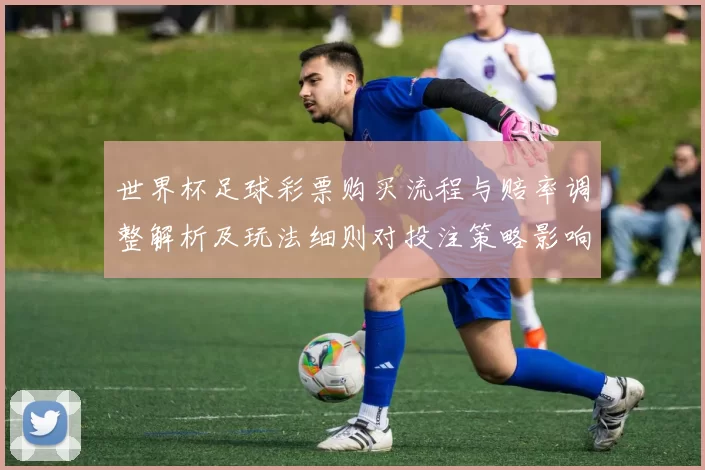 世界杯足球彩票购买流程与赔率调整解析及玩法细则对投注策略影响