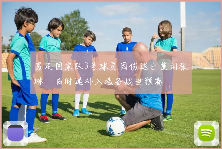 男足国家队3号球员因伤退出集训张琳芃临时递补入选备战世预赛