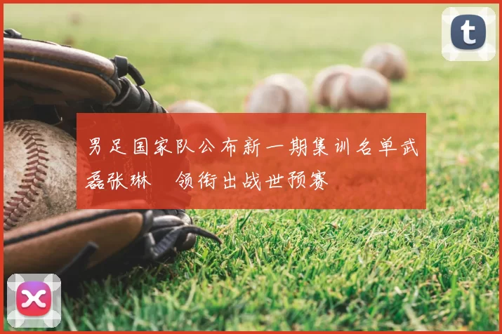 男足国家队公布新一期集训名单武磊张琳芃领衔出战世预赛