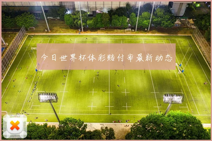 今日世界杯体彩赔付率最新动态