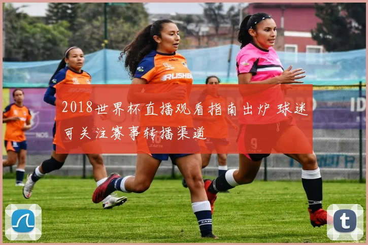 2018世界杯直播观看指南出炉 球迷可关注赛事转播渠道